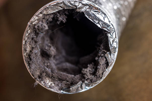 Best HVAC Maintenance and Cleaning  in Mckinley, PA